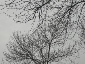 冬日意境-阳光小屋