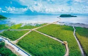 这边风景独好-阳光小屋