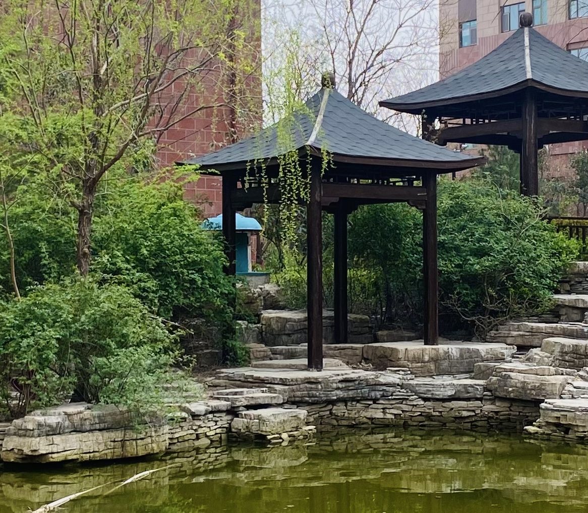 230319随拍-阳光小屋