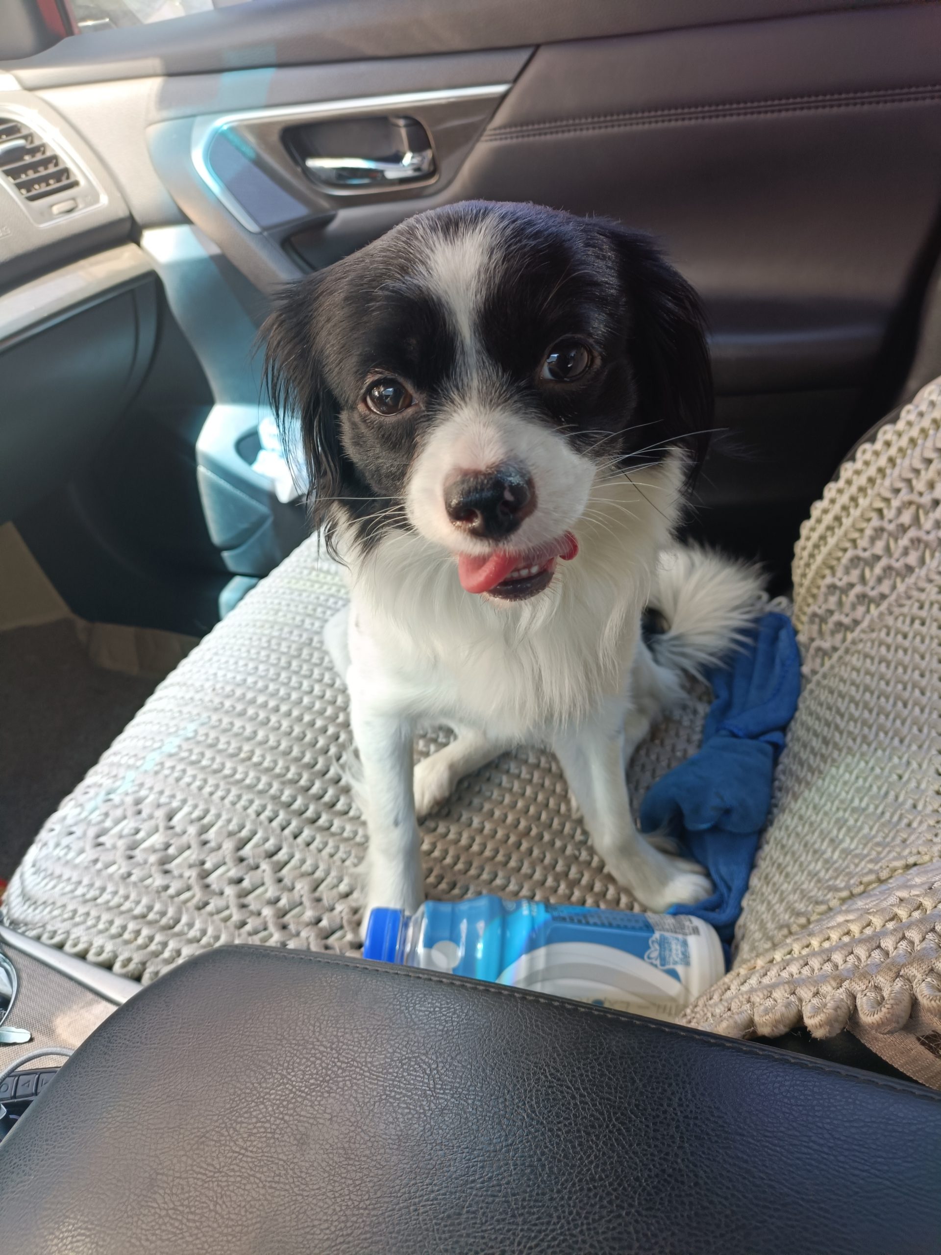 幻灯片-阳光小屋